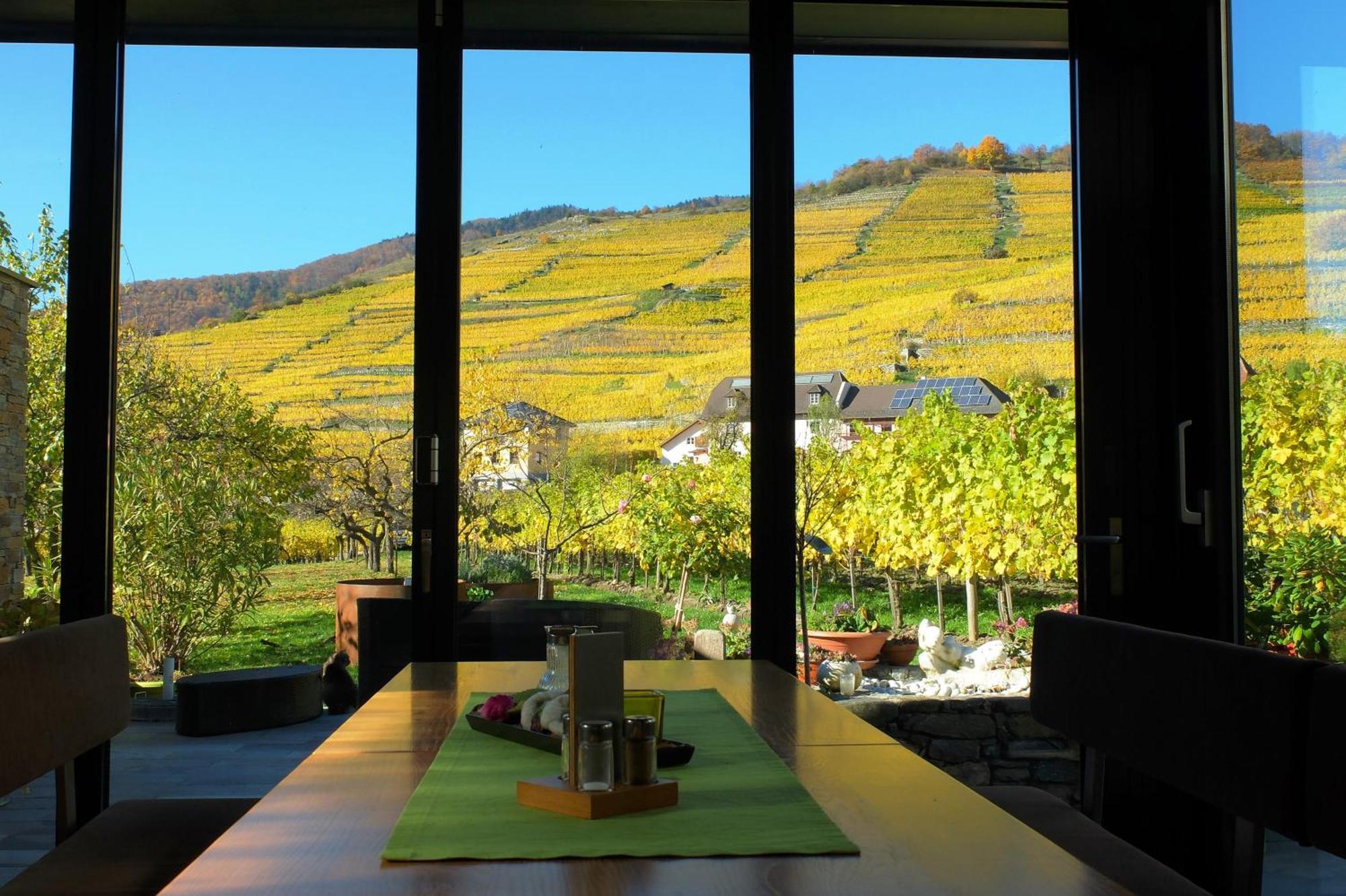 Weingut Donabaum "In Der Spitz" Apartment Spitz an der Donau ห้อง รูปภาพ