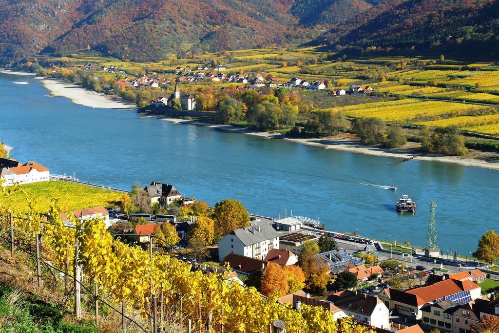 Weingut Donabaum "In Der Spitz" Apartment Spitz an der Donau ภายนอก รูปภาพ