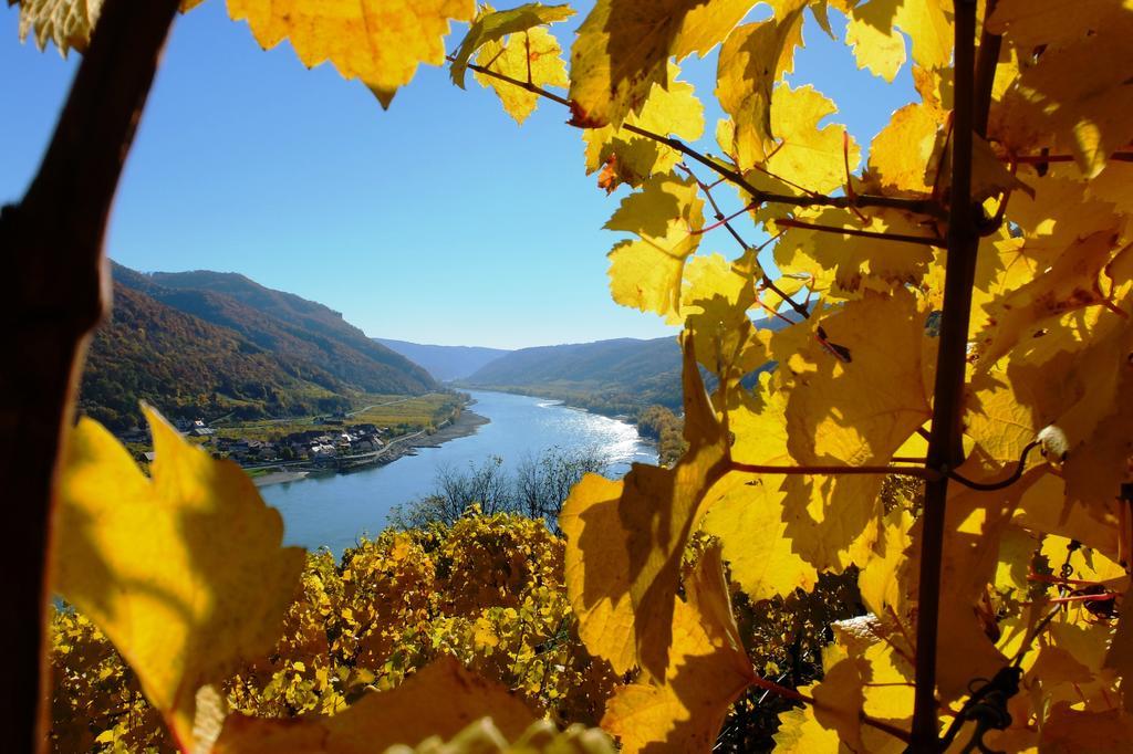 Weingut Donabaum "In Der Spitz" Apartment Spitz an der Donau ภายนอก รูปภาพ