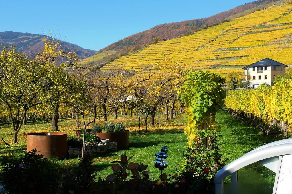 Weingut Donabaum "In Der Spitz" Apartment Spitz an der Donau ภายนอก รูปภาพ