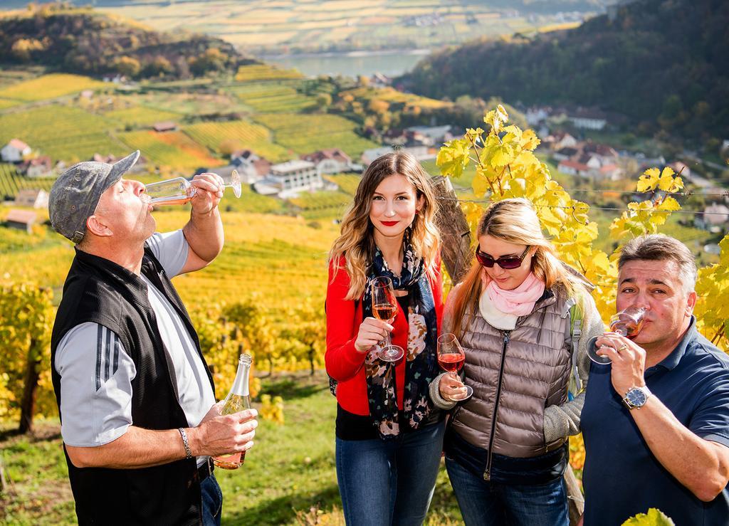 Weingut Donabaum "In Der Spitz" Apartment Spitz an der Donau ภายนอก รูปภาพ