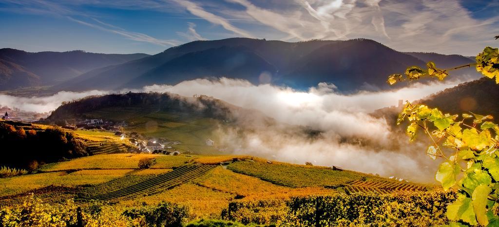 Weingut Donabaum "In Der Spitz" Apartment Spitz an der Donau ภายนอก รูปภาพ
