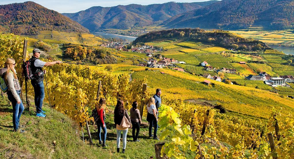 Weingut Donabaum "In Der Spitz" Apartment Spitz an der Donau ภายนอก รูปภาพ